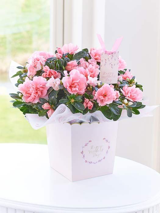 The best Mother's Day Flower deals from M&S, Waitrose and more - Photo