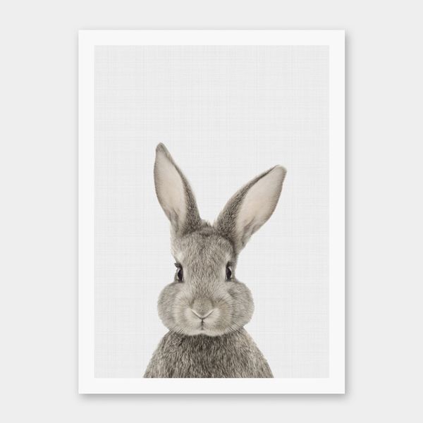 rabbit-art