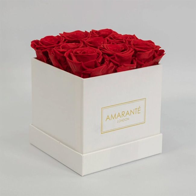 amarante-red-roses