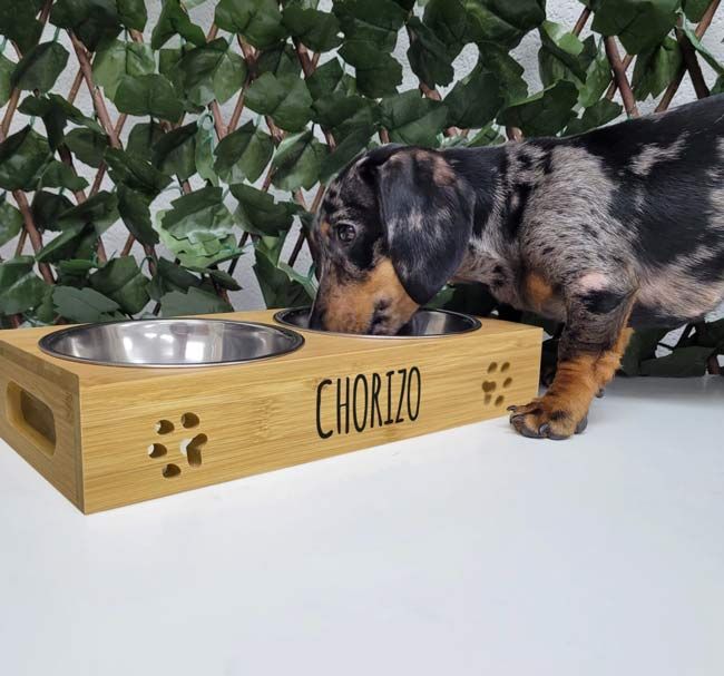 personalized-dog-bowl