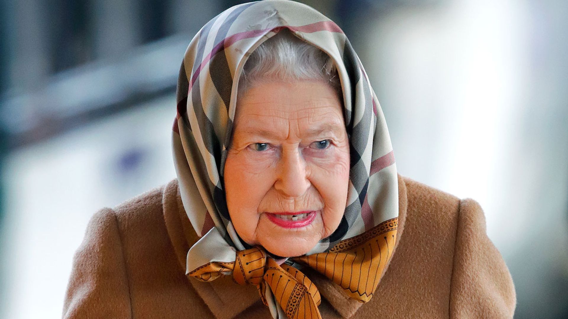 The Queen's sweet new companion to live with her at Windsor Castle