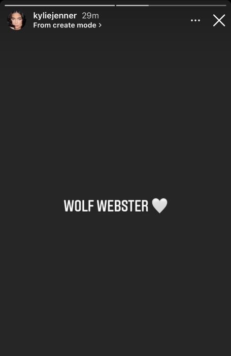 wolf-webster