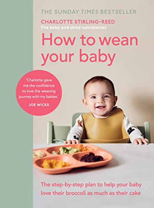 baby-weaning-book