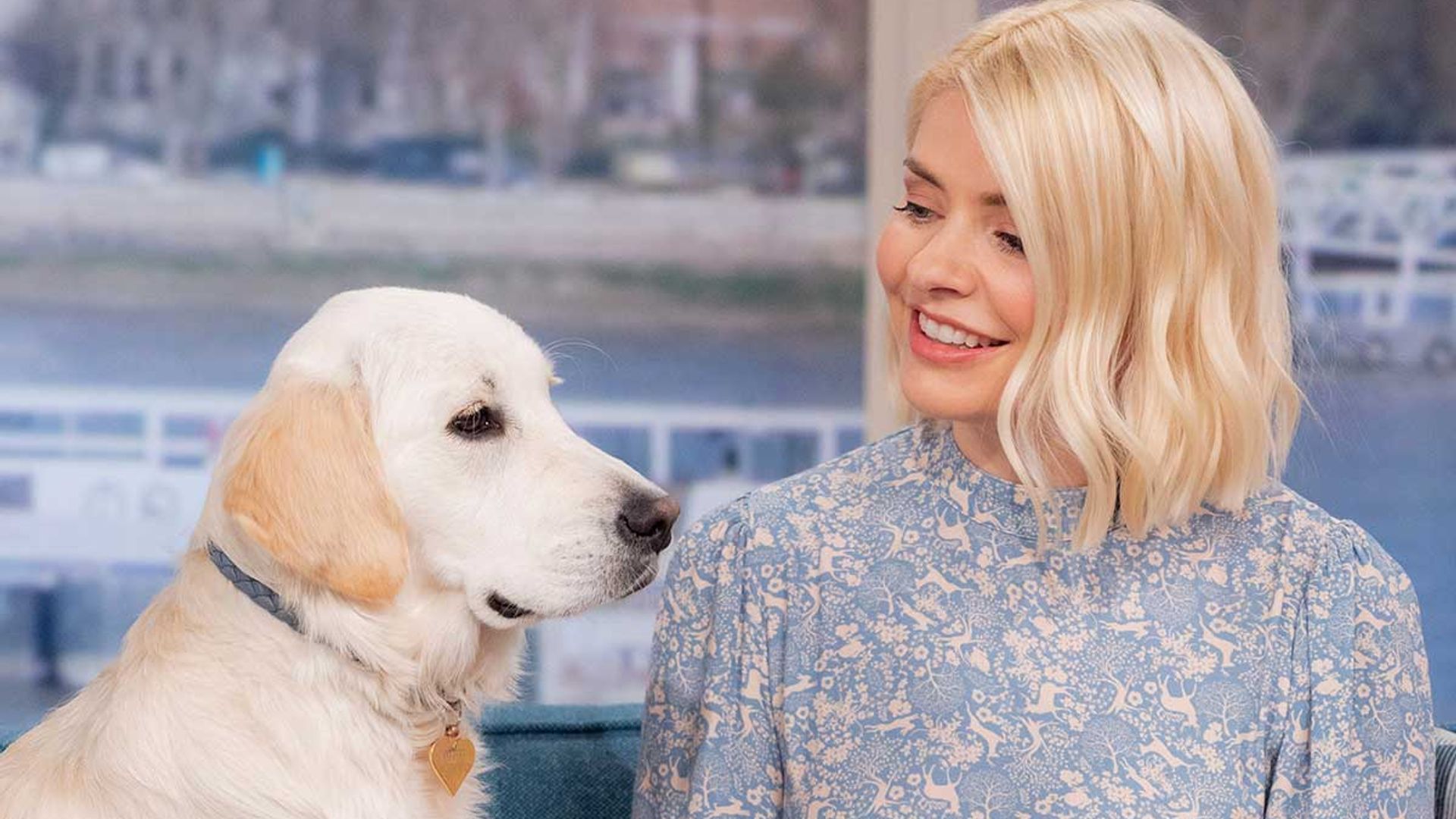 Holly Willoughby suffers blunder at home - see photo