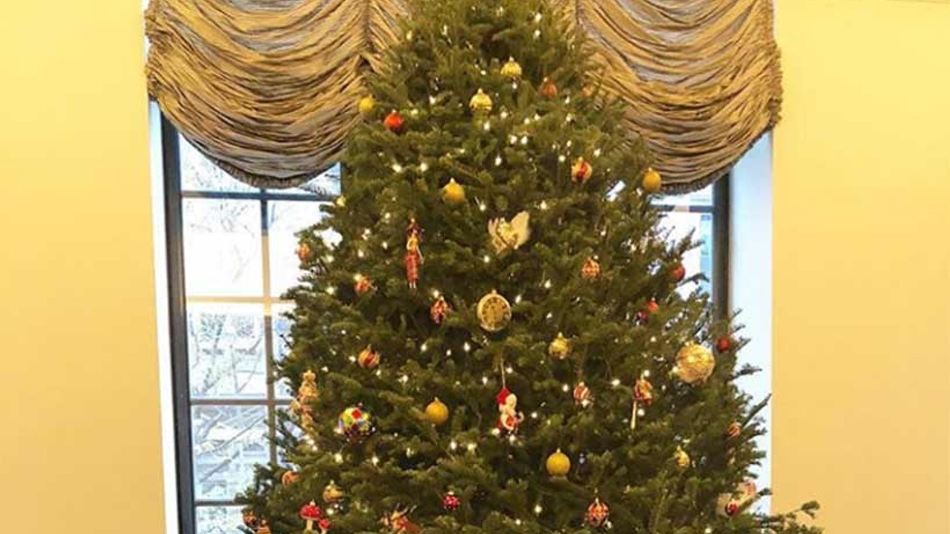 Royal family shares Christmas tree snap from lavish London home