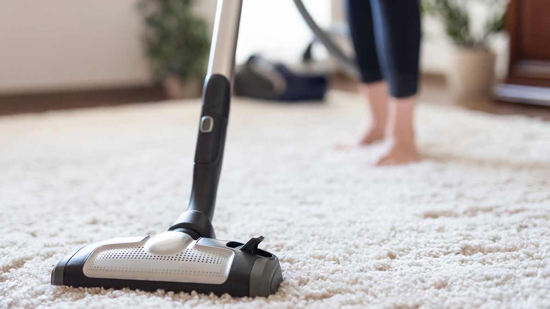 Image result for Carpet Cleaning images