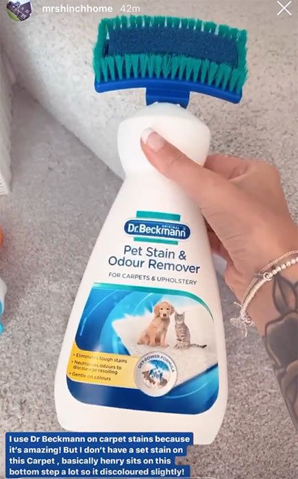 pet-stain-remover