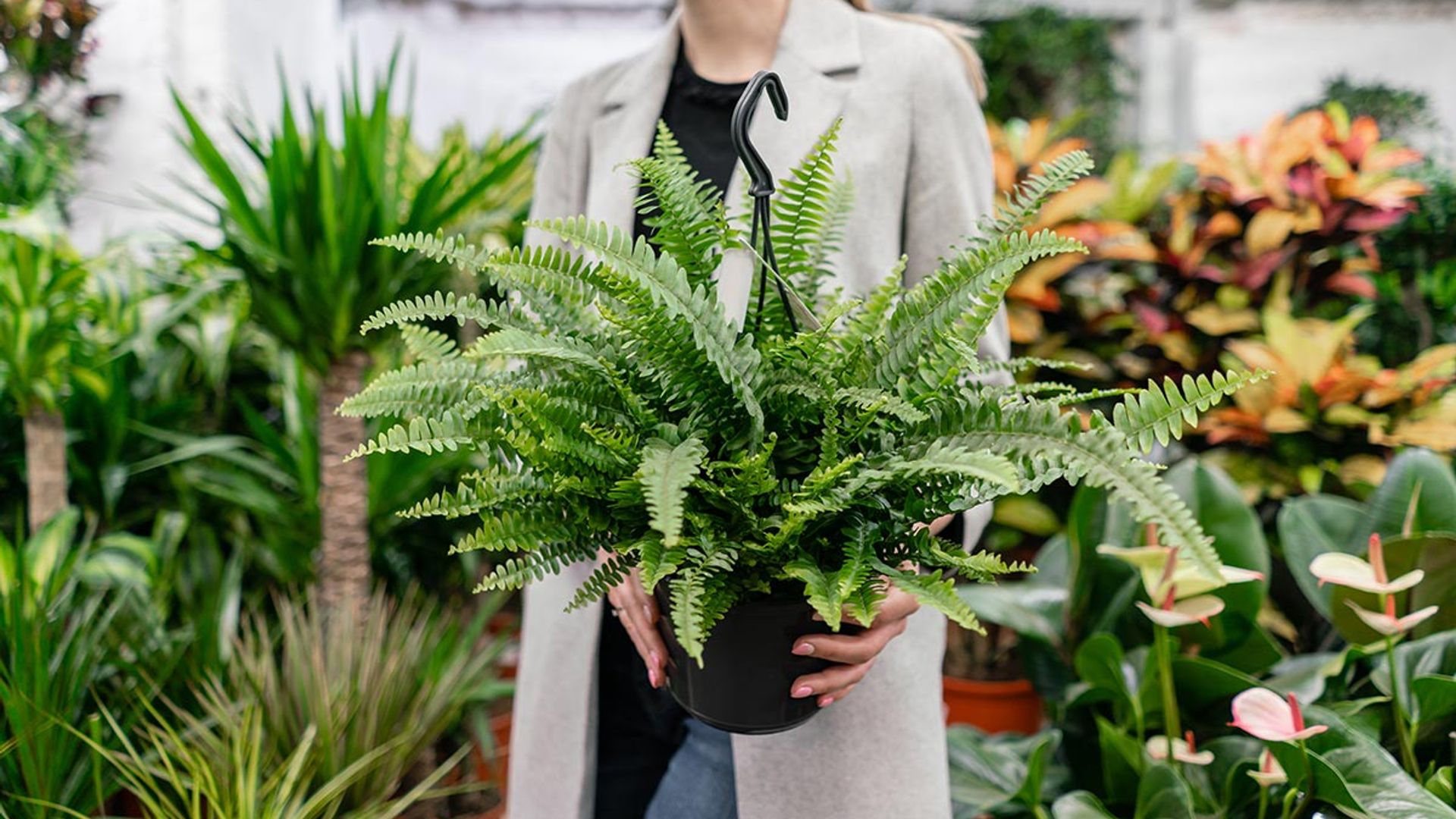 Where to buy plants during lockdown: online garden centres that are open |  HELLO!