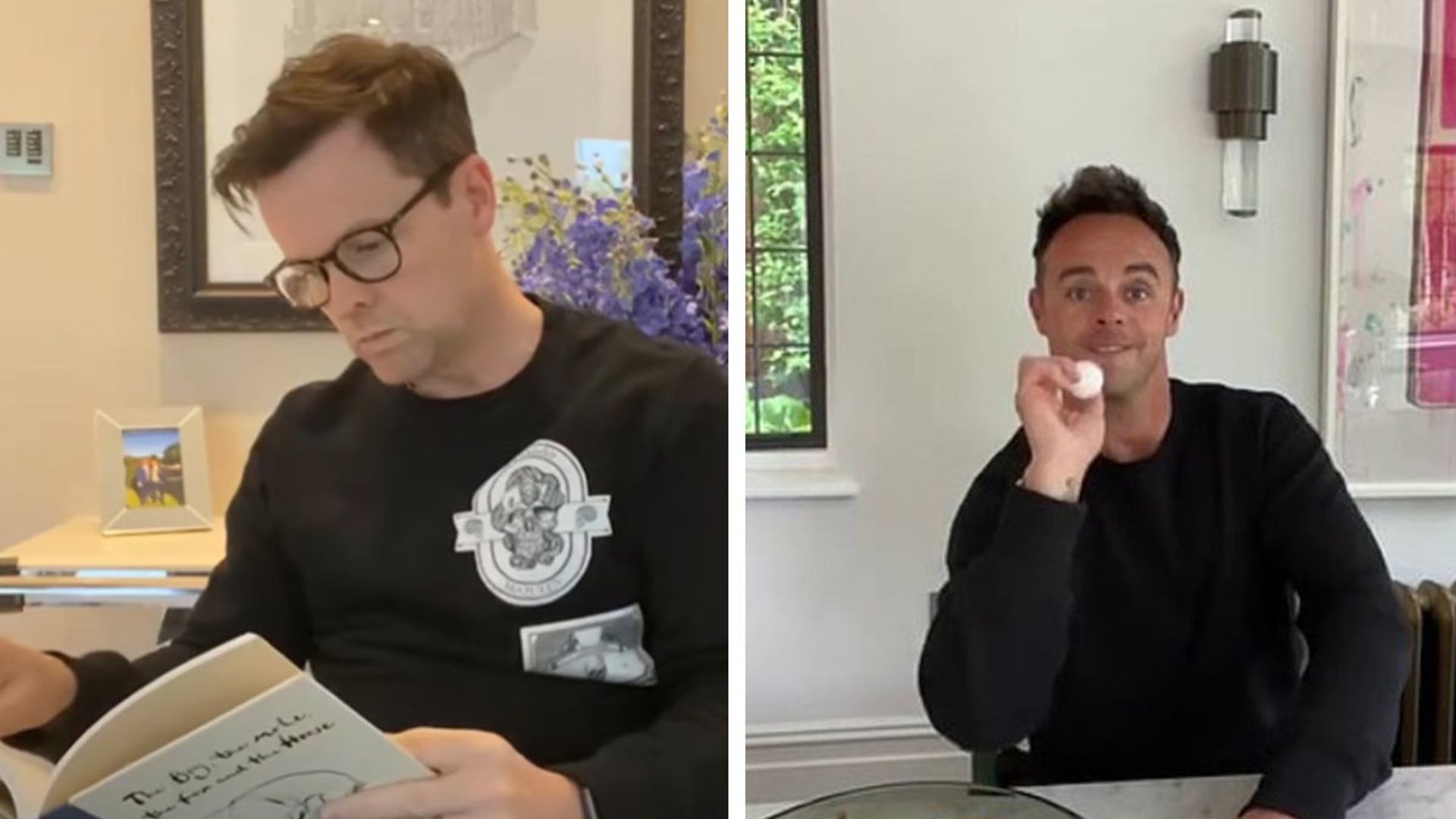 Ant and Dec take fans inside homes for TikTok video