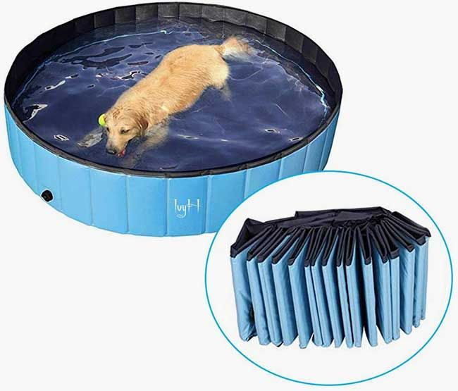 amazon-dog-paddling-pool
