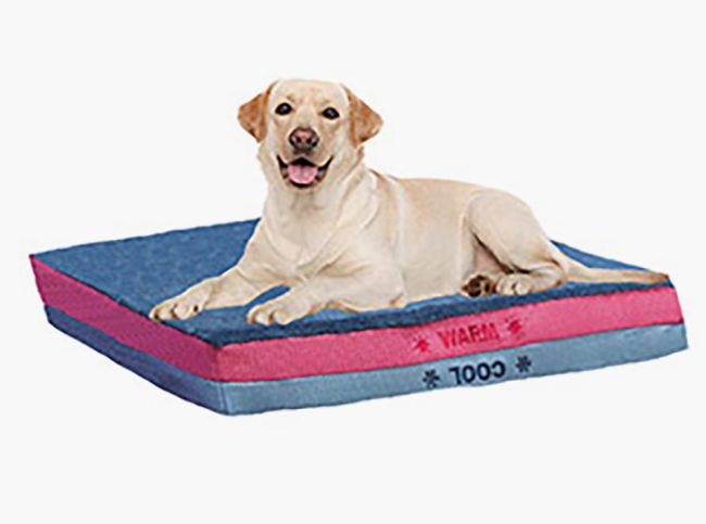 dog-mattress