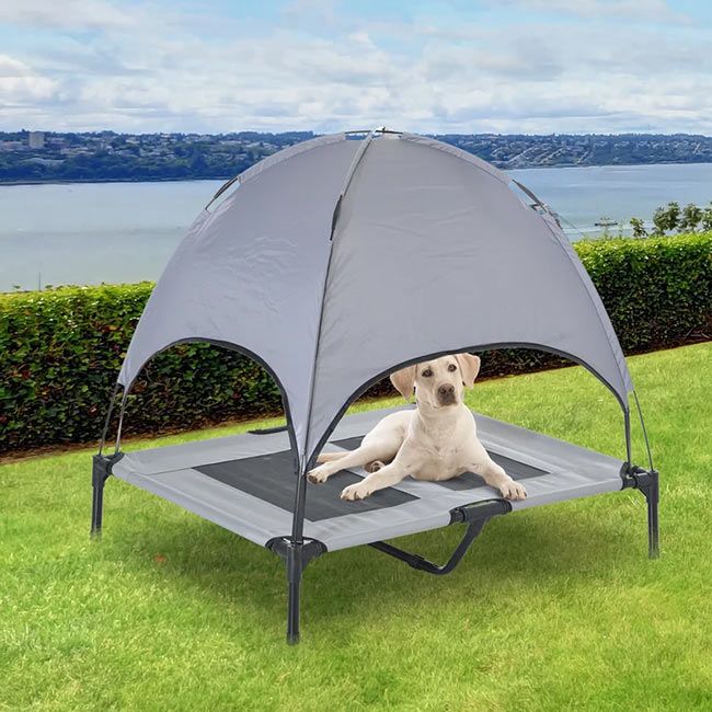 wayfair-dog-tent
