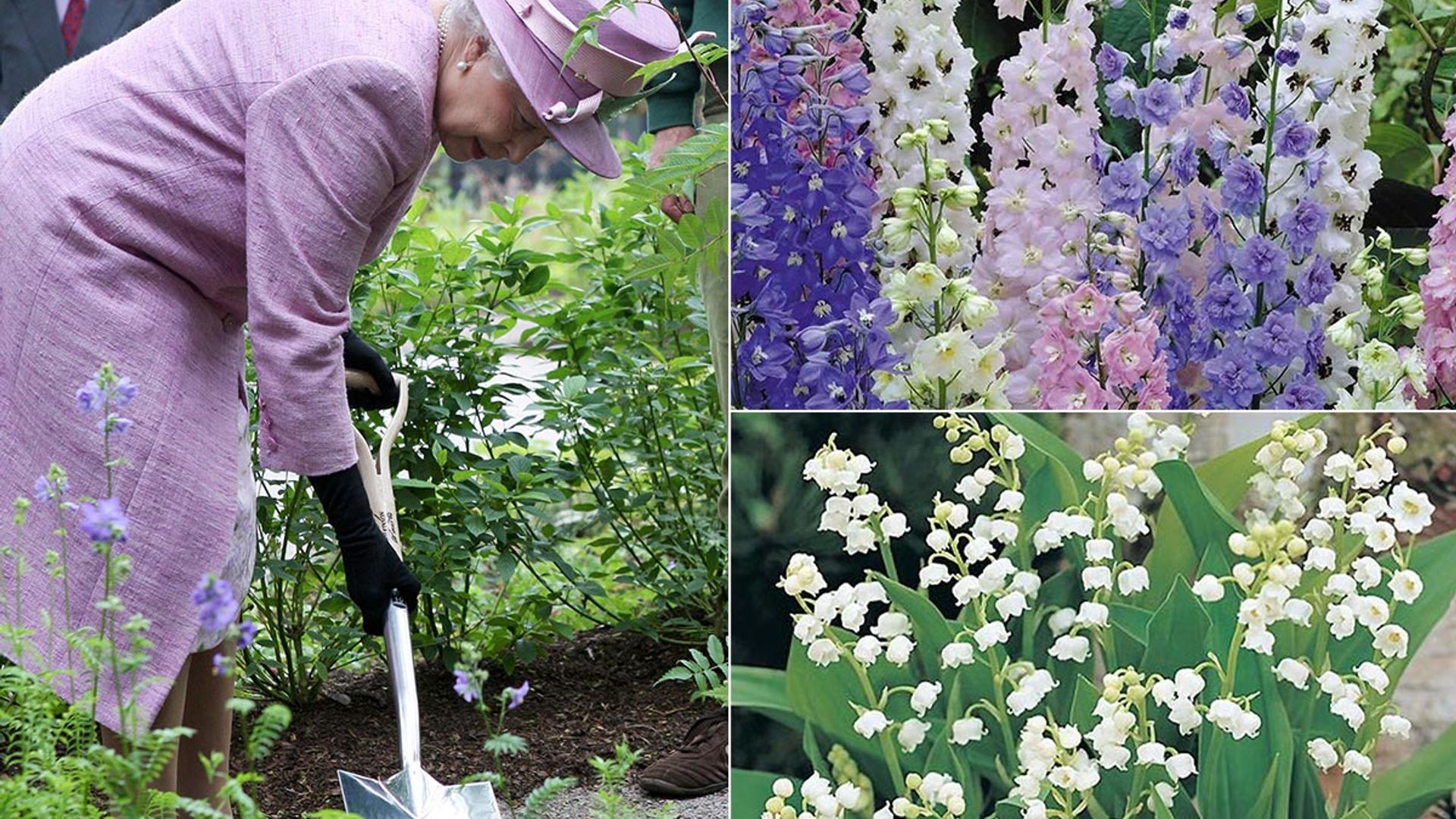 The royals' favourite plants to transform your garden into a regal sanctuary