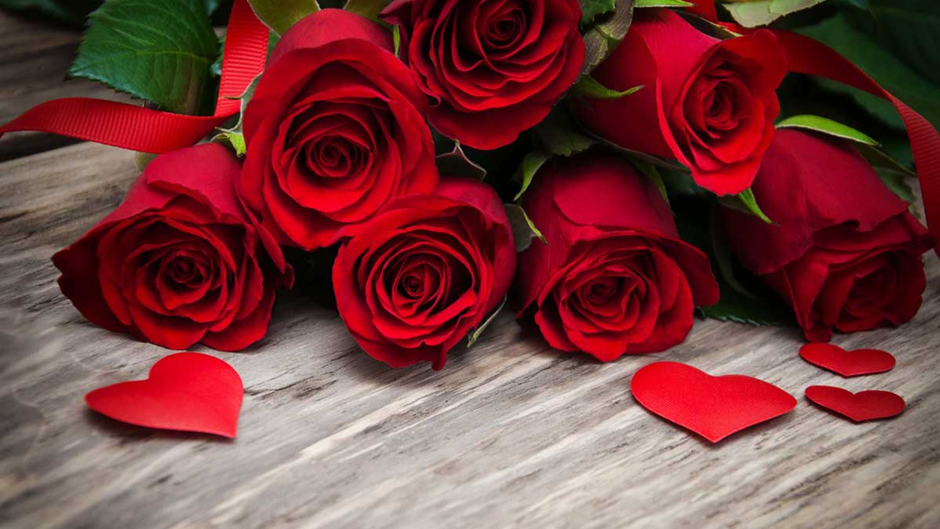 11 best Valentine's Day roses to surprise your loved ones
