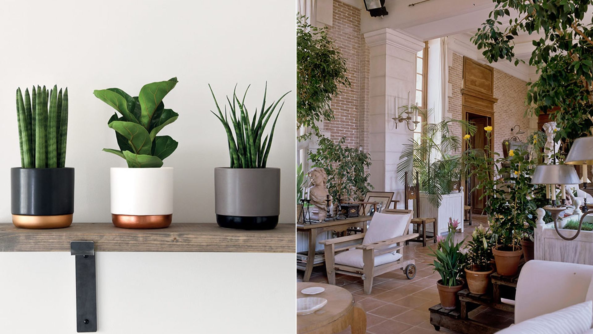 Best plants and gardening accessories to turn your home office into a green oasis