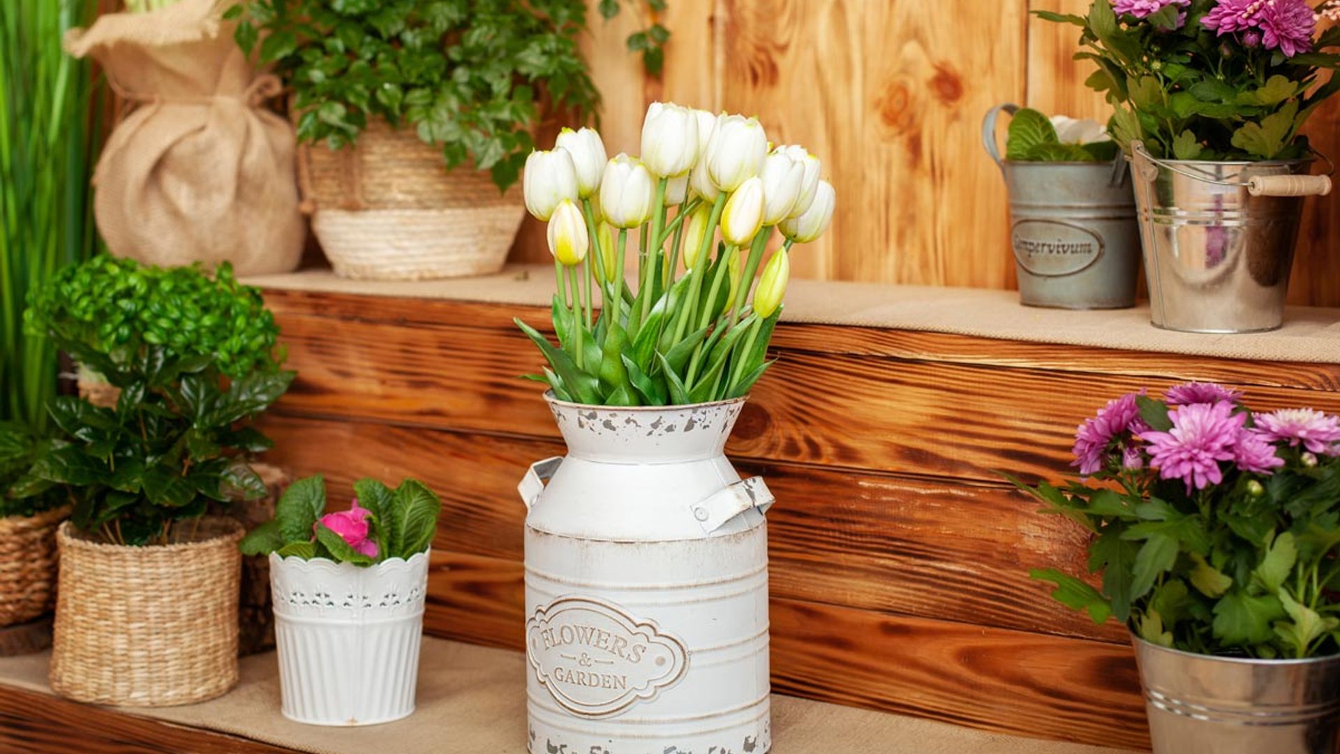 Lidl's chic wooden garden accessories are a Spring must-have – just ask shoppers