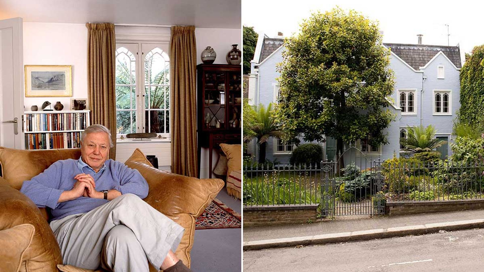 David Attenborough's beautiful London home revealed