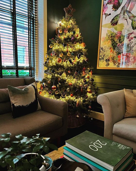 أفضل أشجار عيد الميلاد لدى المشاهير على الإطلاق: أماندا هولدن وأليسون هاموند وتيس دالي وغيرهم