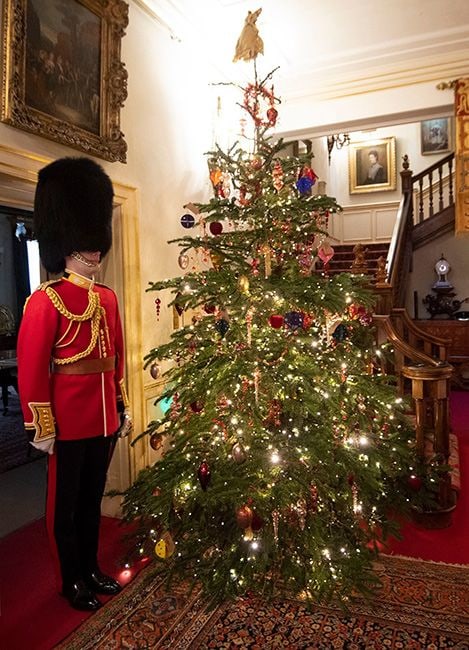 clarence-house-tree