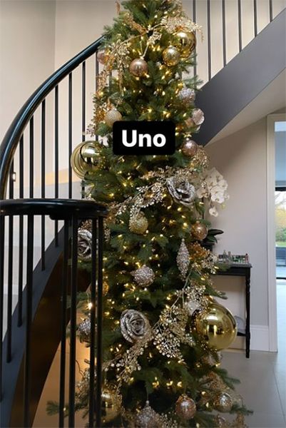 rylan-clark-neal-first-christmas-tree