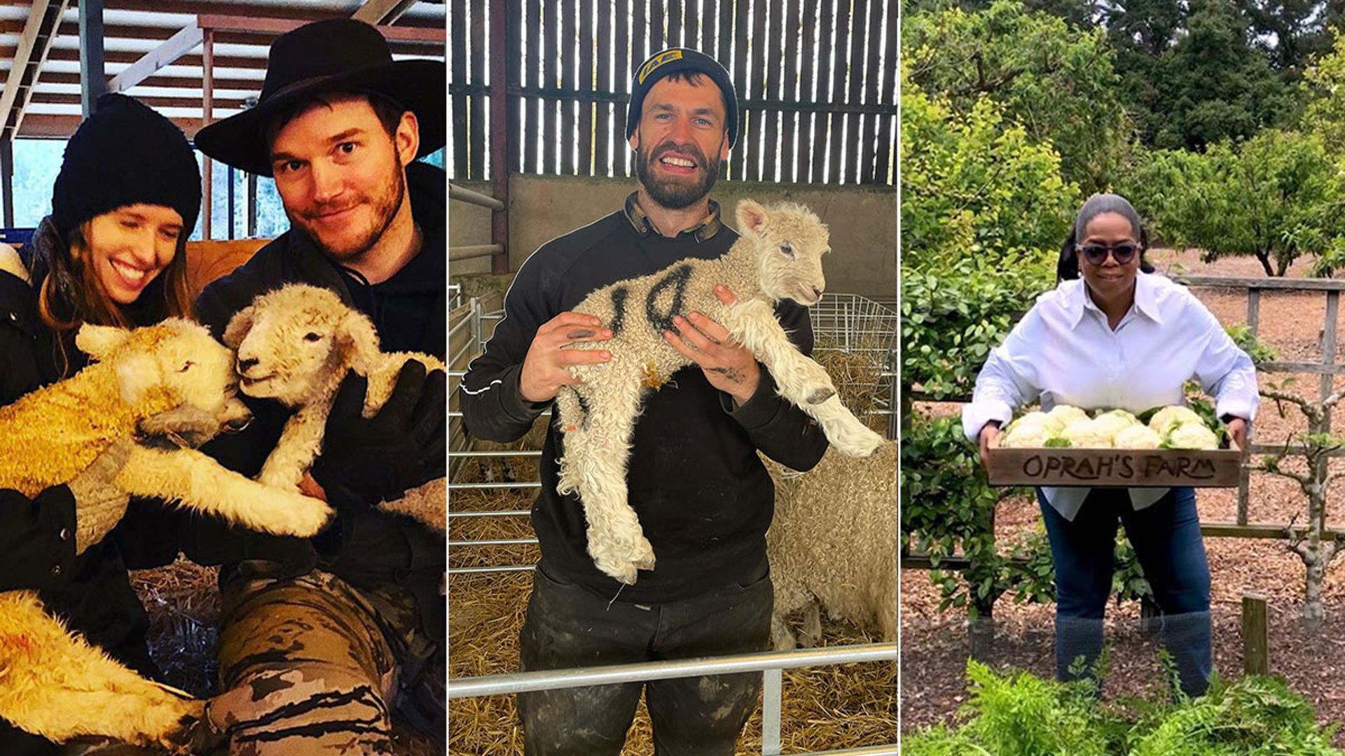 Kelvin Fletcher and 12 more celebrities who live on farms