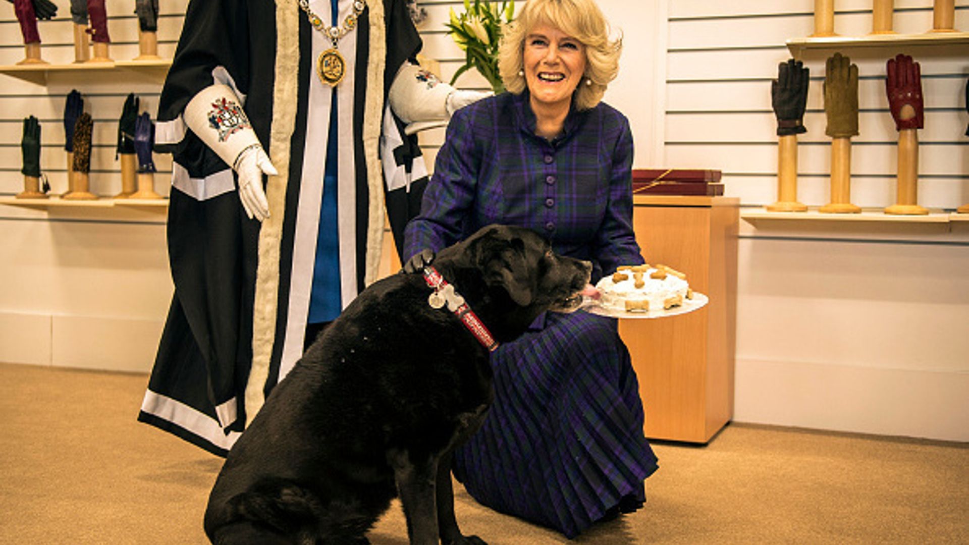 Duchess Camilla shows off her signature plaid style — and love of animals