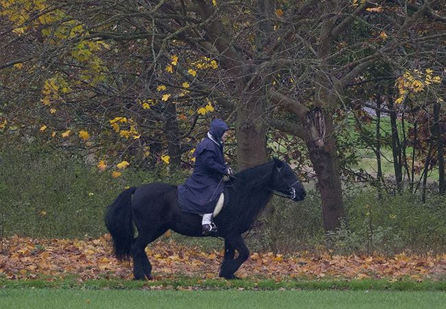 the-queen-horse-riding-in-windsor-castle-2017