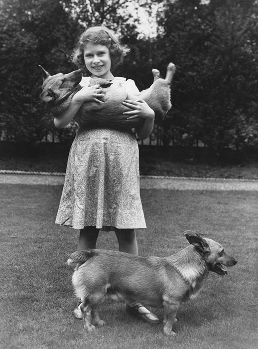 queen-child-dogs