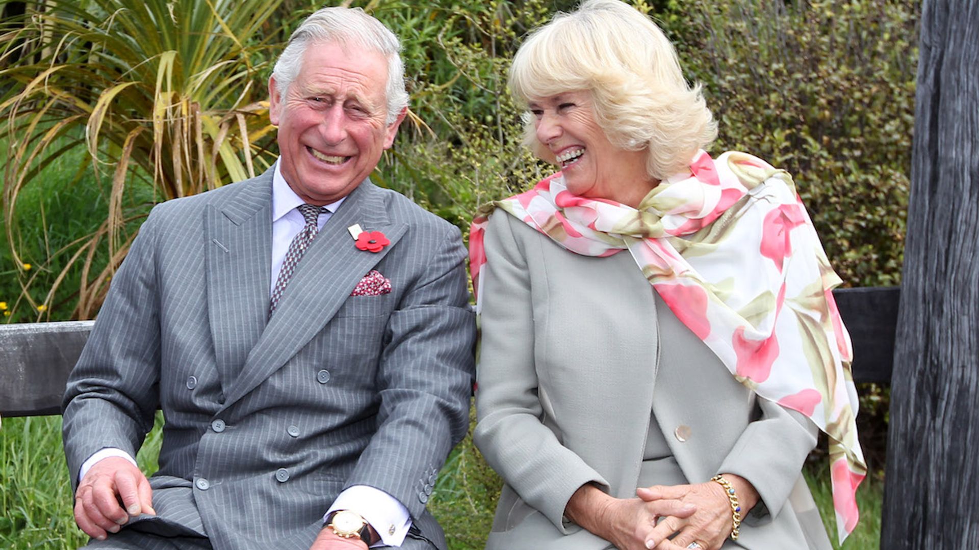 Prince Charles and Camilla's tongue-in-cheek new photo has fans laughing |  HELLO!