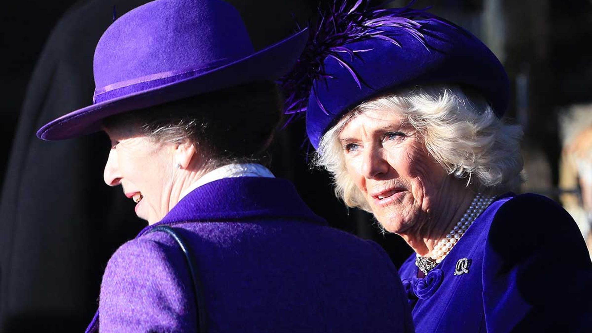 The Duchess of Cornwall to carry out rare joint engagement with sister-in-law Princess Anne
