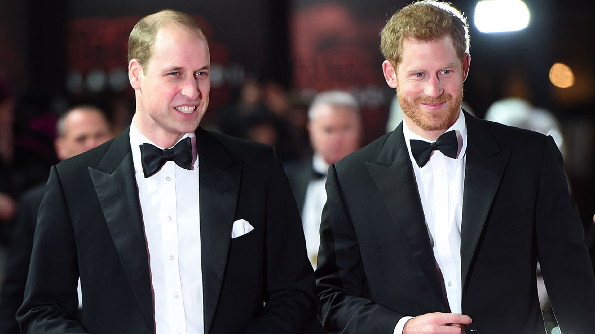 Prince Harry and Prince William UNSIGNED photo D349 