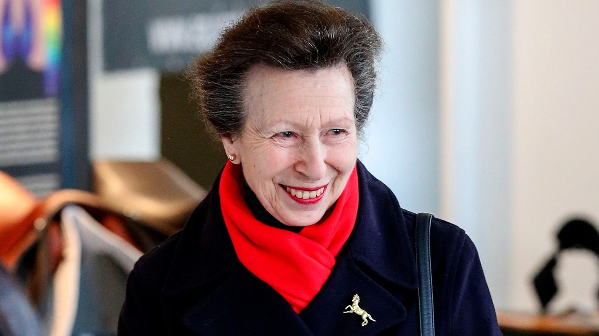 Princess Anne jokes about being a 'boring old fuddy-duddy' in entertaining 70th birthday interview