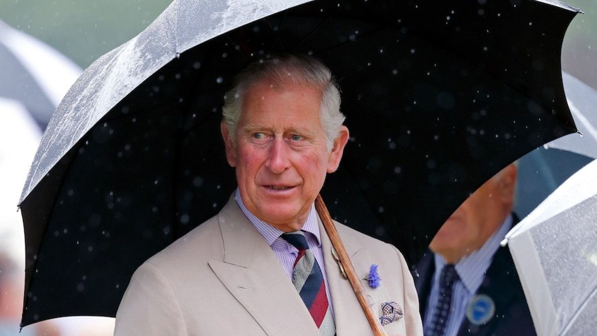 All the times Prince Charles has spoken about his love for the environment