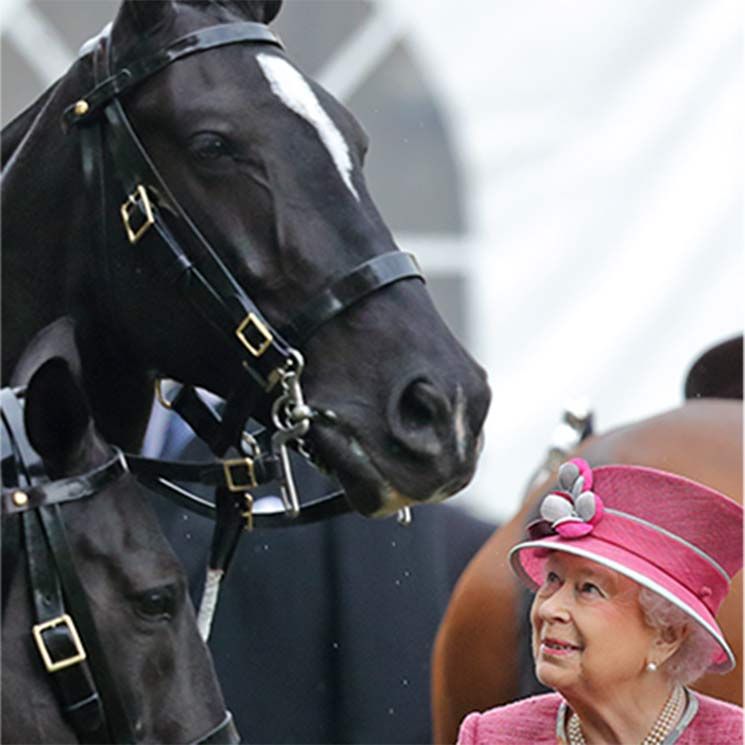 10 times the Queen went gooey-eyed over horses 