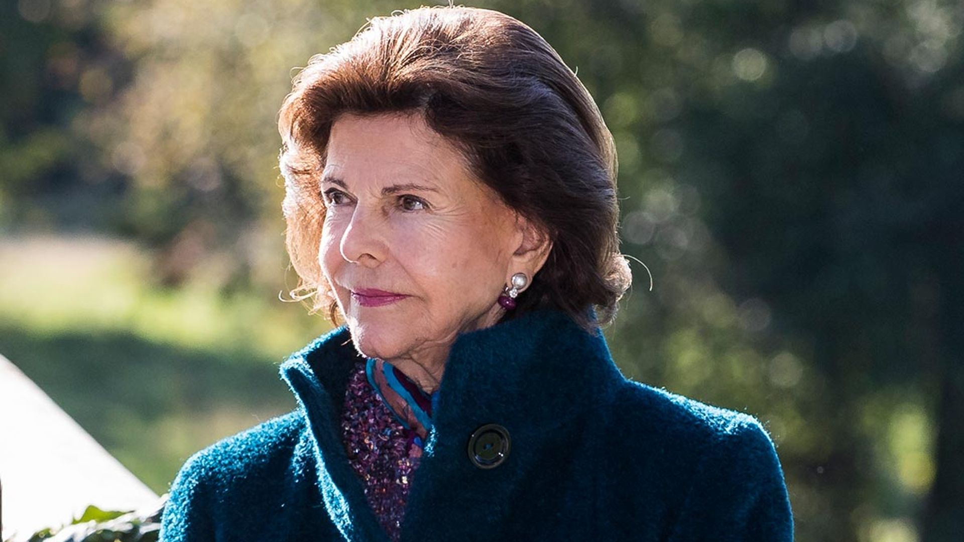 Queen Silvia of Sweden injured after accident at home