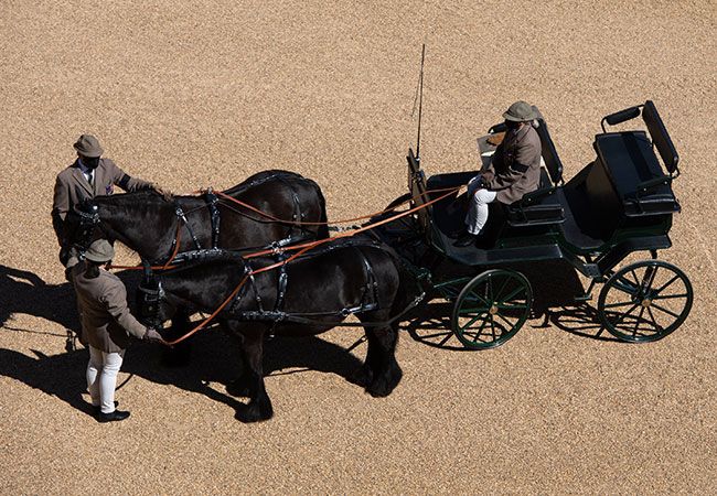 prince-philips-carriage-and-ponies