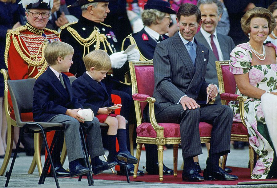 prince-charles-laughing-william-a.jpg