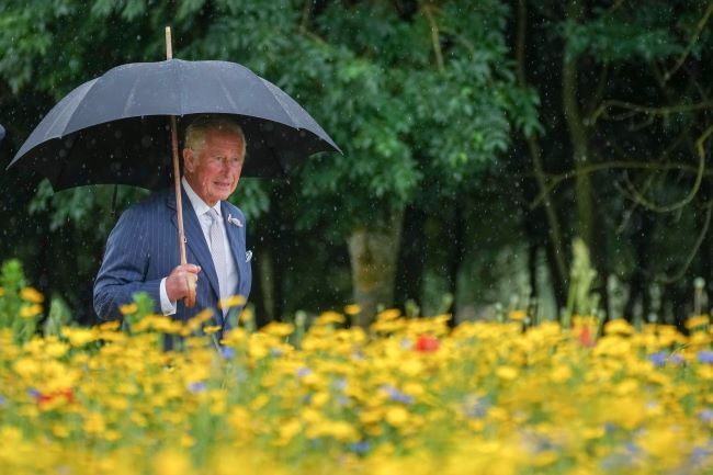 prince charles walking umbrella