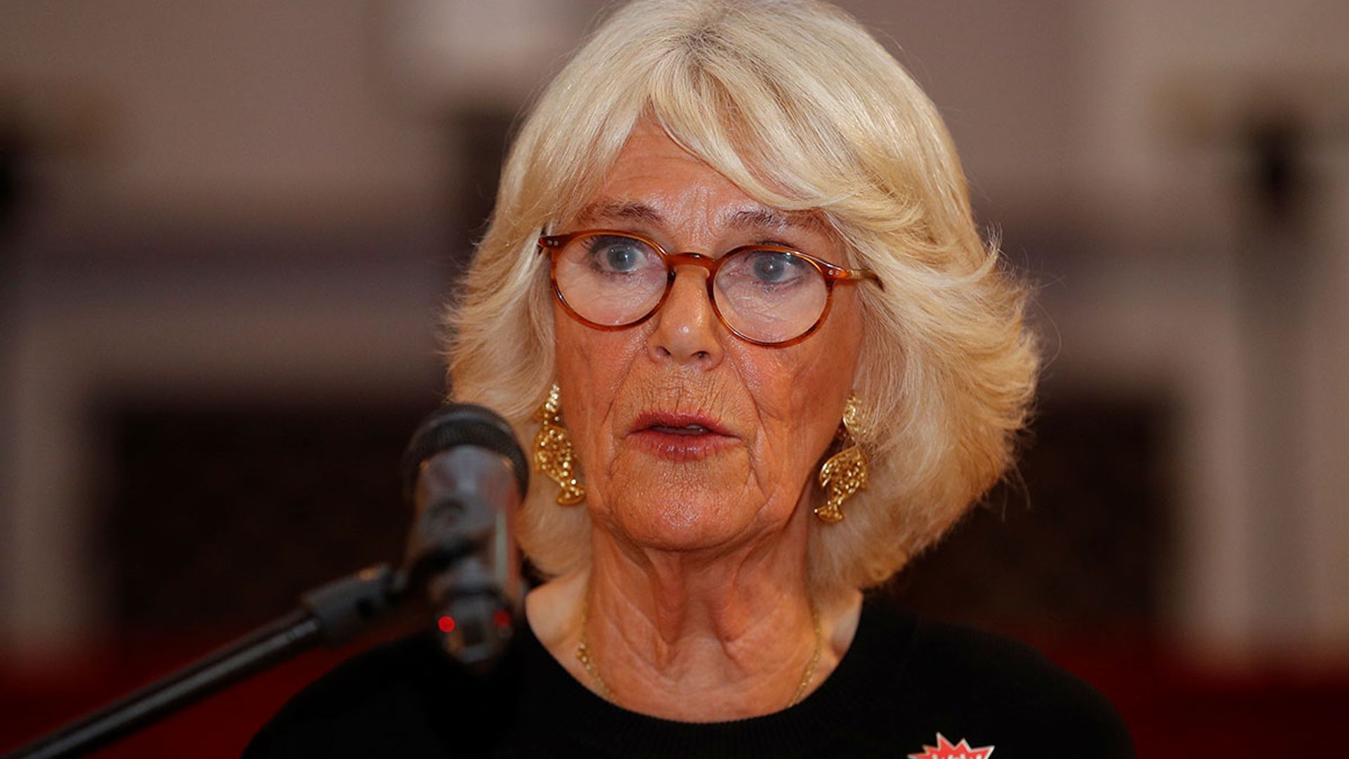 Duchess of Cornwall calls for action to prevent violence against women in powerful speech