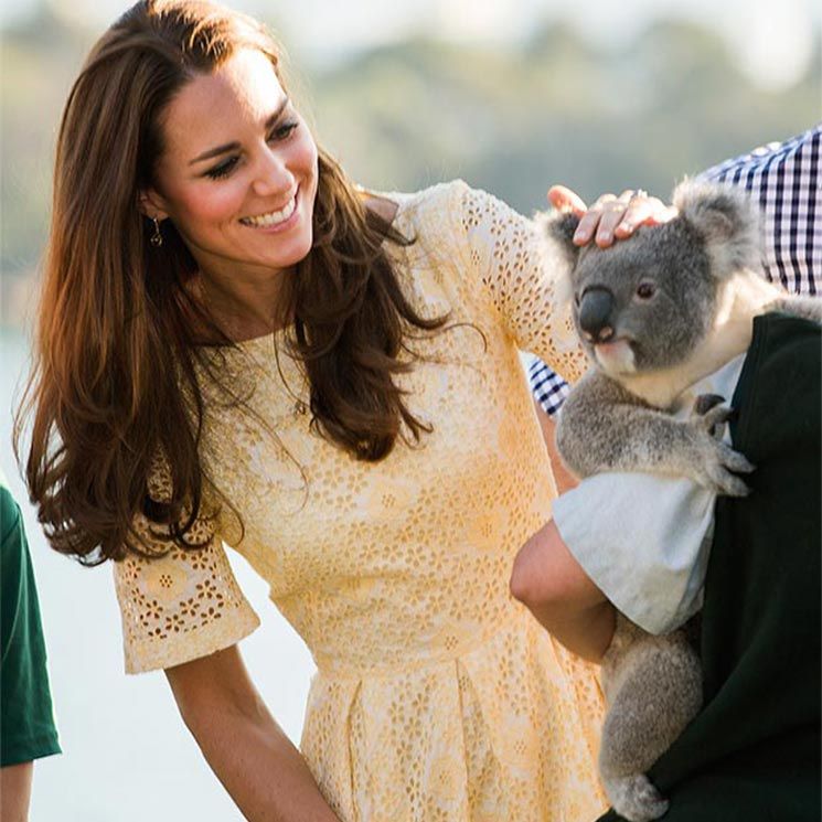 17 photos of the royals' sweetest and funniest moments with dogs, koalas and more animals