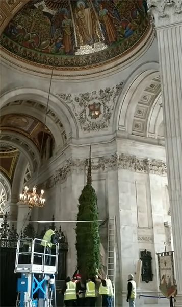 the-queen-christmas-tree-st-pauls