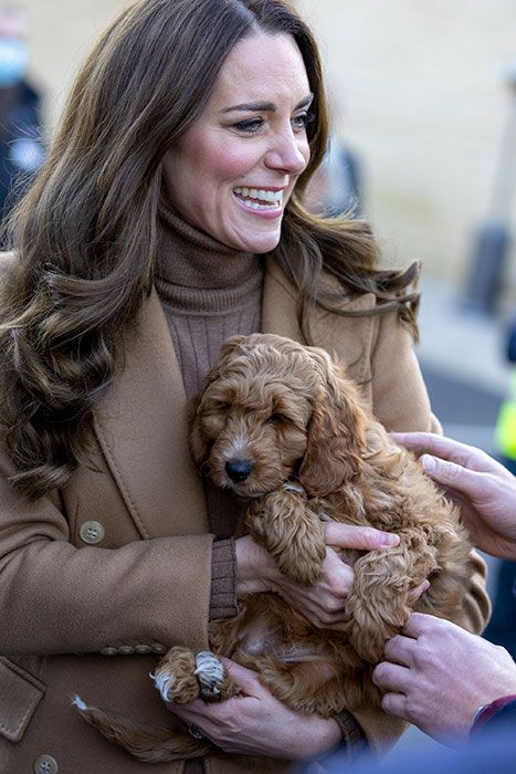 Kate Middleton and Prince William meet therapy puppy at Lancashire hospital - best photos