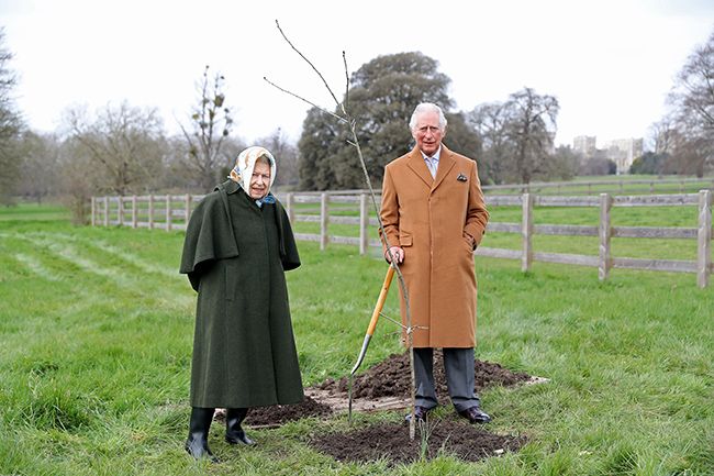 the-queen-and-prince-charles-tree