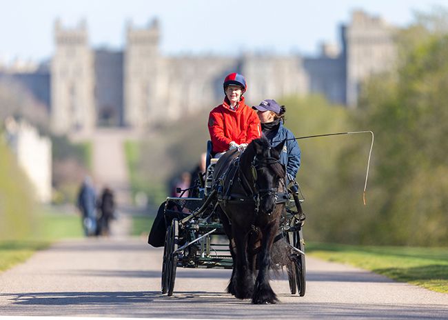 lady-louise-windsor-carriage-driving