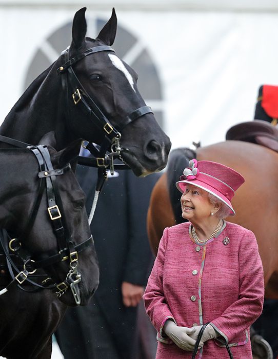 queen-horse-smile