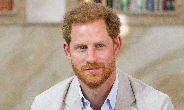 Prince Harry 'hosted US officials' during Mozambique trip without Meghan Markle
