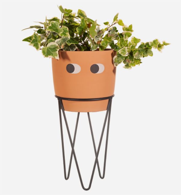 sass-and-belle planter