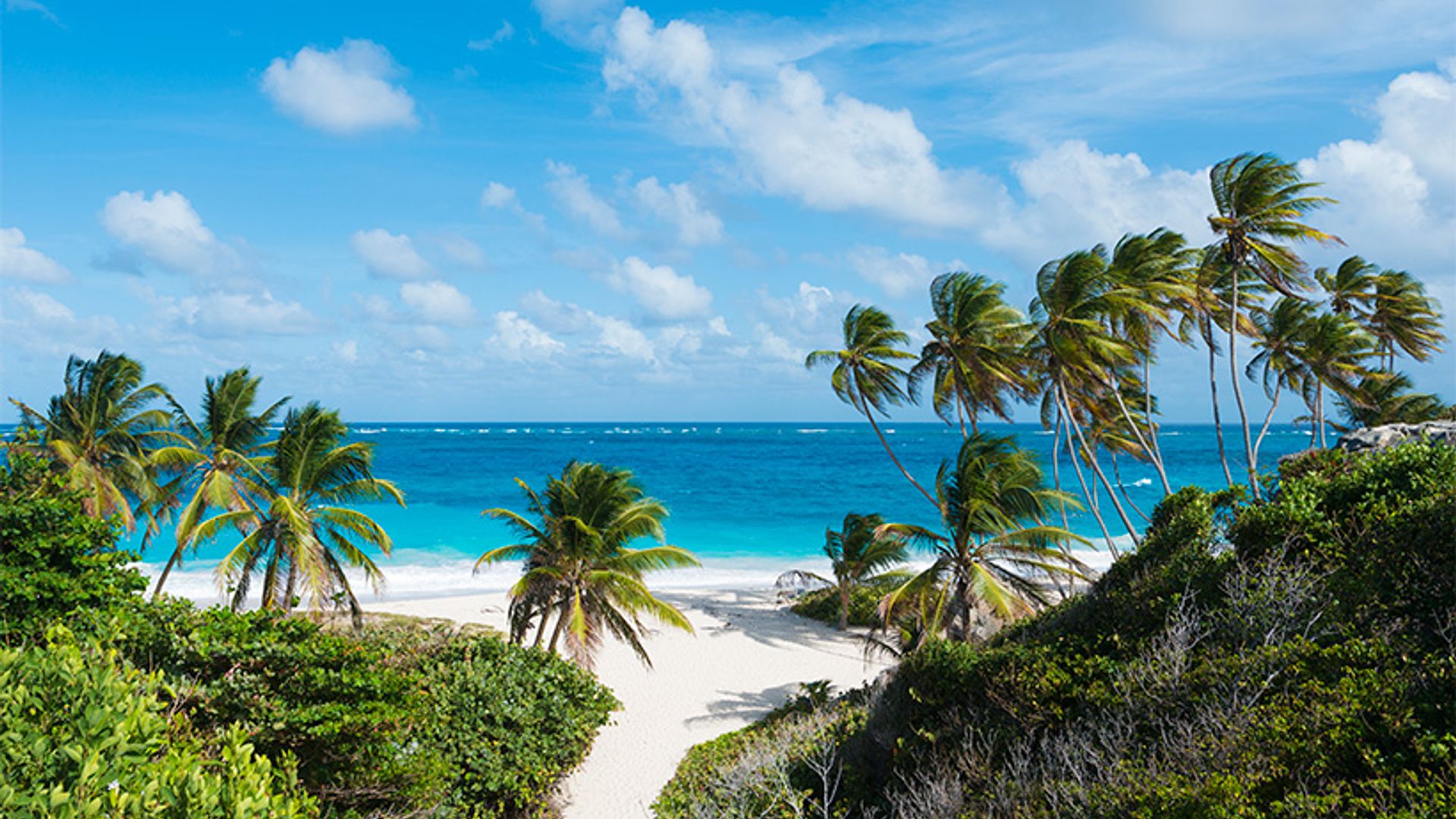Barbados: Where to stay, eat and explore on the tropical Caribbean isle