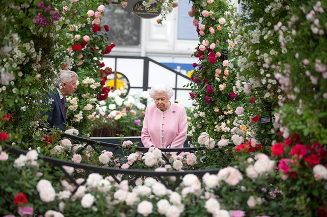 The Chelsea Flower Show 2019: Where is it and how much do tickets ...