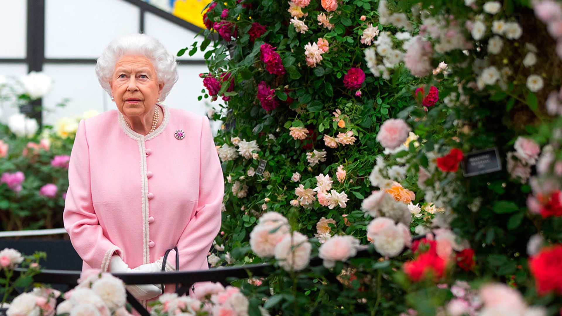 the chelsea flower show 2019: where is it and how much do tickets